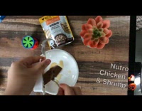 Girl mixes tuna chicken gravy for cat 