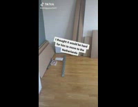 Guy prints huge photo of the Queen 