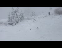 Collab JerrySlams - Skier red jacket skis down slope and falls down in snow