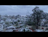 Person show snow falling down in march