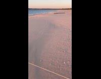 Submitter skipping rocks on the sand
