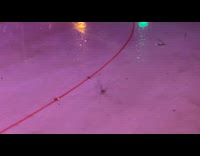 Spider on table bounce dance to music