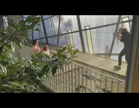 Pink shirt girl white shirt guy sunglasses 