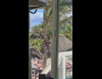 Guy photographs girl from stairs