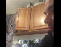 Pet cat gently touches owners face with its paw