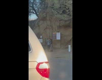 Couple selfie photo shoot woman Dior clothes