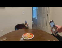 Family sings Happy birthday for dog