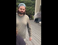 Black brown cow watching guys on porch near tree 