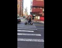 Collab WINY - Guy rides scooter bike with brown puppy 