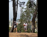 Man white shirt plays ukulele sings Everywhere you look