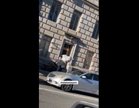 Collab WINY - Man carrying zebra statue on shoulders 