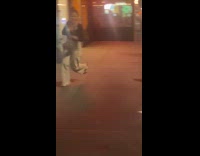 Collab winy - Grey robot dog chase woman street night