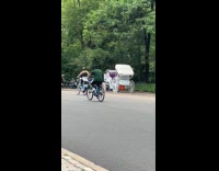 Horse with carriage runs away at park part 2