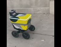 Guy follows yellow postmates delivery robot sidewalk 