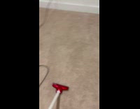 Dog tries to chase vacuum while cleaning