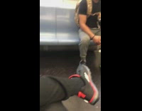 Guy small brown dog on lap subway 