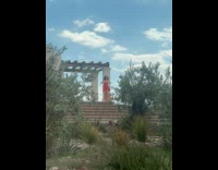 Woman red dress films video at yard