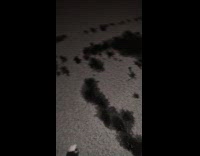 Submitter walks over thin ice fell down