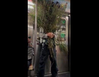 Man dressed as farmer with huge plants