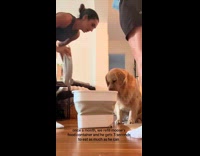 Man ruins video of girlfriend feeding their dog 