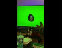 [Third Party] Dog runs to tv watches cat video