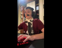 Cat bites owner playing games