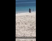 welcome to 3030 tripod generation