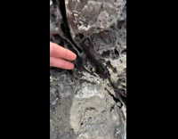 Rock on the beach sounds like breathing