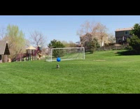Small grey dog bounces large blue ball 