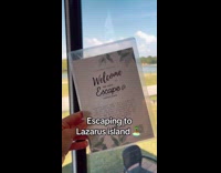 Cat goes on vacation for its birthday