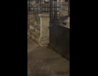 Giant rat standing next to front entrance of apartment building 
