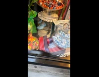 Collab WINY - Mouse crawls on candy store display window