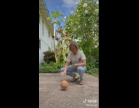 Woman records herself dribbling a coconut on the pavement 
