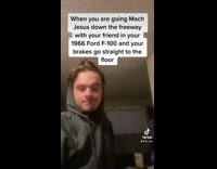 Dogs reaction sitting inside car 