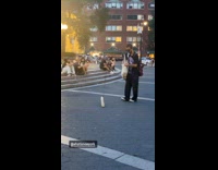 Collab WINY - Man with a baguette on a leash - Woman walking with a bike on the side