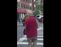 Bald Guy Crosses Street with Parrot