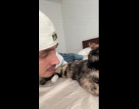 Man having conversation with cat