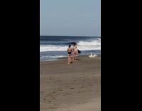White bikini girl poses surfboard sand dogs