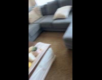 Dog sitter calls dog out to the yard 