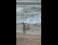 Woman orange bikini bend down twerk beach