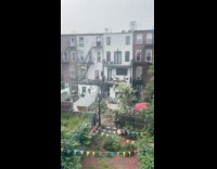 Collab winy - Man cut tree get stuck on electric cables