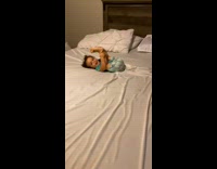 Collab BitchMP - Baby and cat play in bed scared