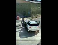 Guy white shirt music video car dog