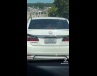 Collab BitchIG2 - Man teasing car in front of him 