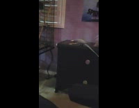 Bird on drawer flip poker chip yell