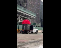 Truck transports giant rose bouquet on Valentines