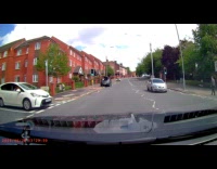 Seagull drops rat at car windshield dashcam
