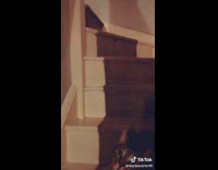 Cat throw spider on stairs to girl
