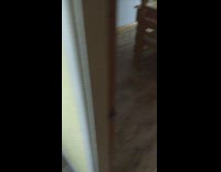 White dog escapes cage and barriers and is found on couch