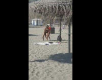 Red shirt two girls sand dance bikini 